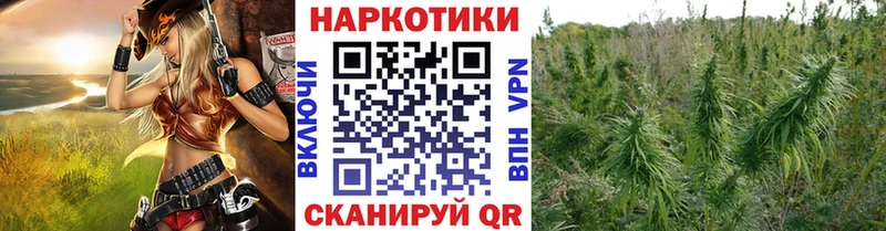 Где купить Новосокольники Марихуана Галлюциногенные грибы МЕФ A-PVP