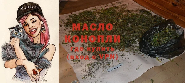 тгк Дмитров
