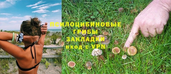 прущая мука Верея