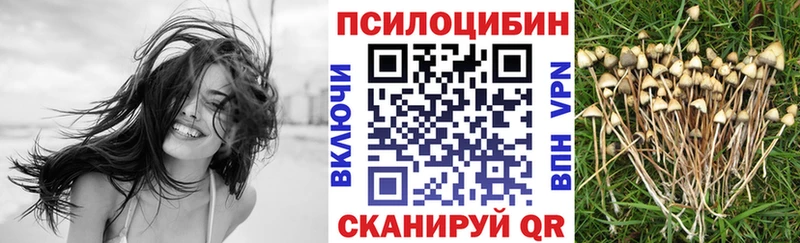 дарнет шоп  Новосокольники  Псилоцибиновые грибы ЛСД 