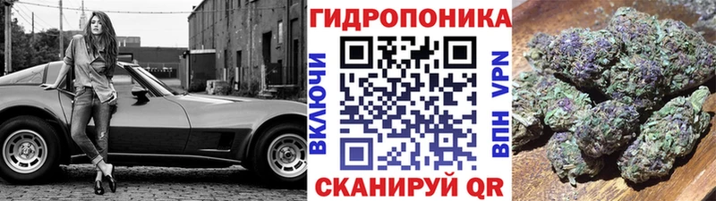 закладки  Новосокольники  Марихуана OG Kush 